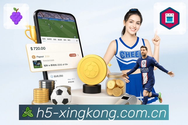 全球访问密度概览图